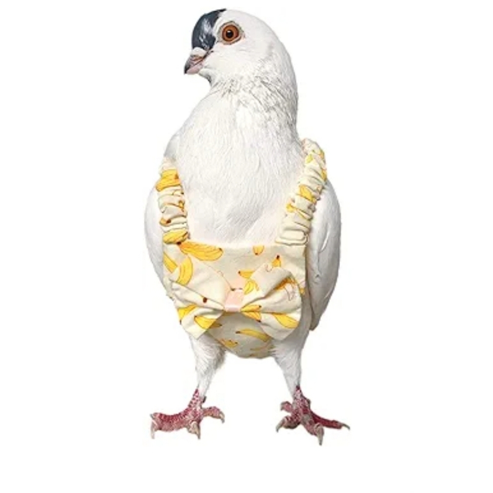 Set of 2! Pigeon and Dove Diaper and Leash